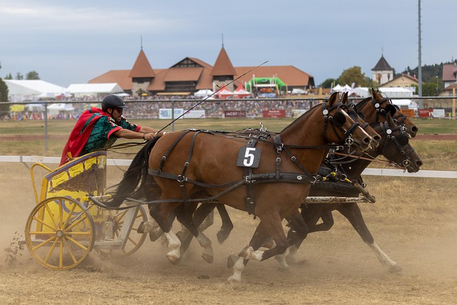 是一份合同 是一份合同